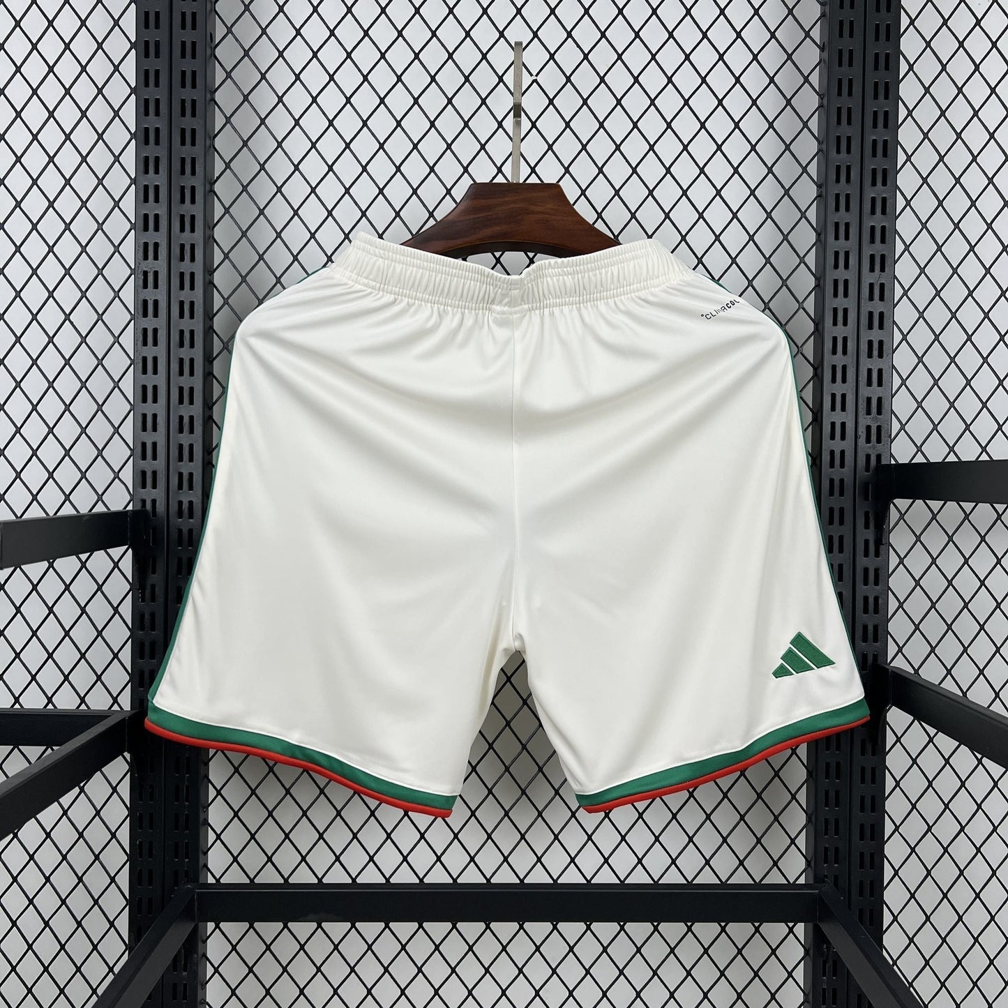 Algeria's 2026 World Cup Chances