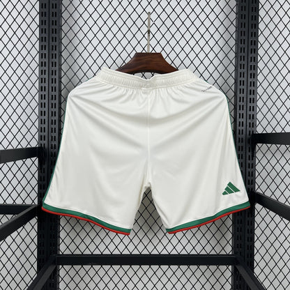 Algeria's 2026 World Cup Chances