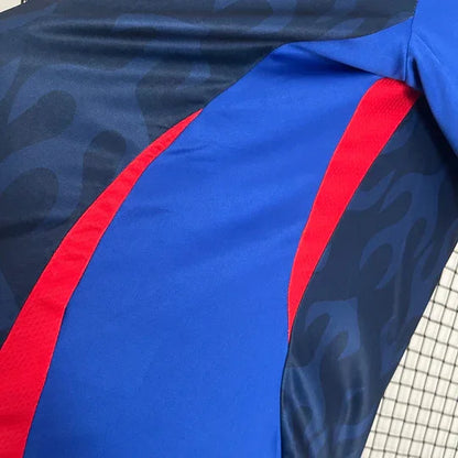 Japan Home Jersey 2024/2025