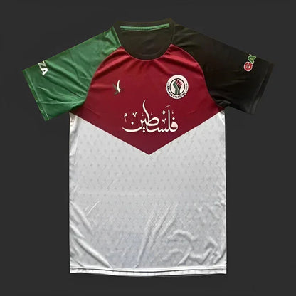 Palestine jersey 2023-2024 season Special Edition Stand for Gaza