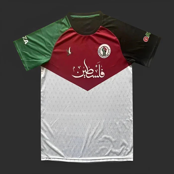 Palestine jersey 2023-2024 season Special Edition Stand for Gaza