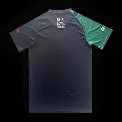 Palestine jersey 2023-2024 season Special Edition Stand for Gaza