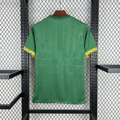 Mexico concept jersey 2025
