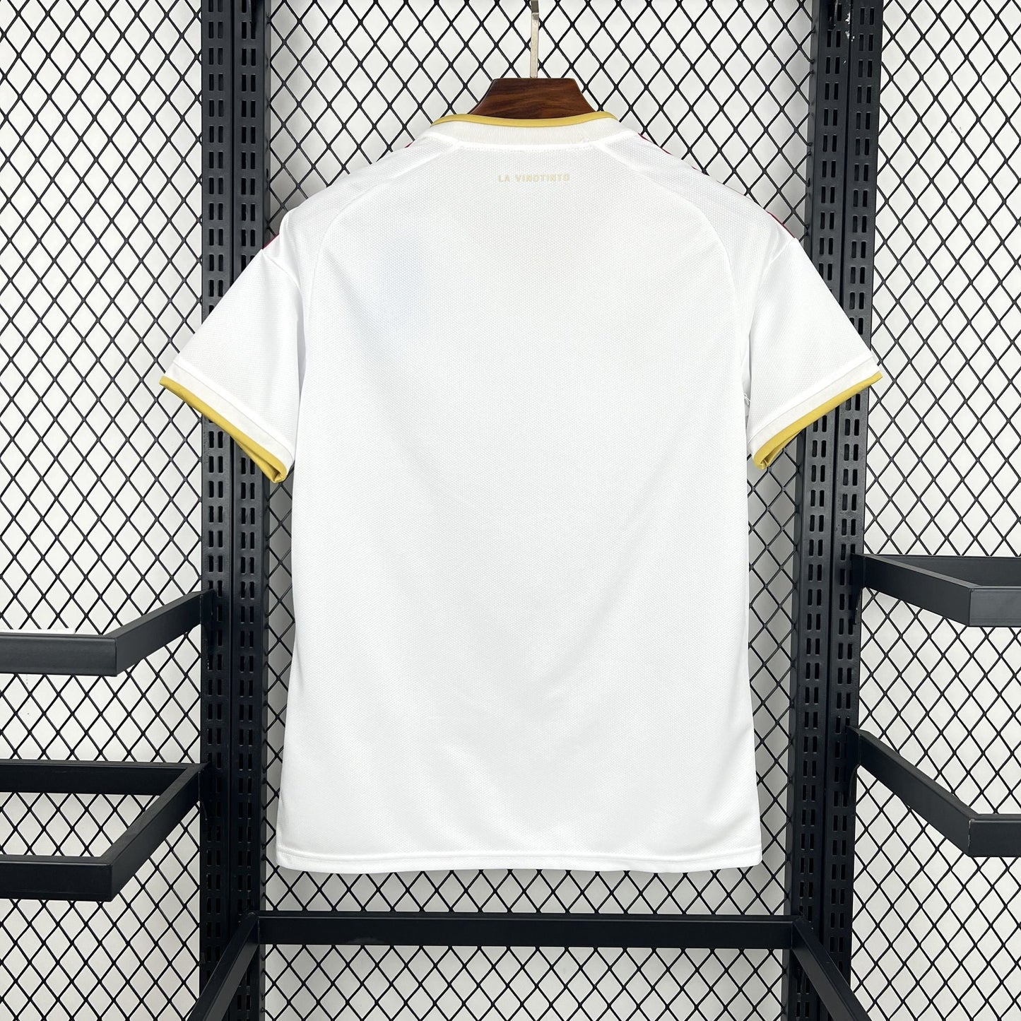 Venezuela World Cup 2026 jersey