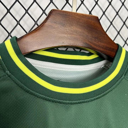Brazil Concept Green Yellow Eagle Jersey 2024-25