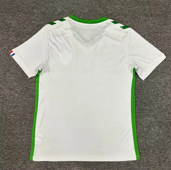 AS Saint-Étienne 2024-2025 Away Football Shirt ASSE