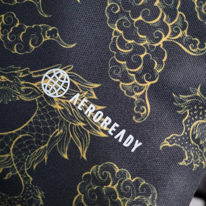 Japan concept jersey 2023 2024 Dragon