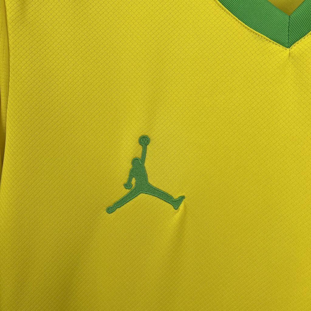 Brazil concept jersey 2025