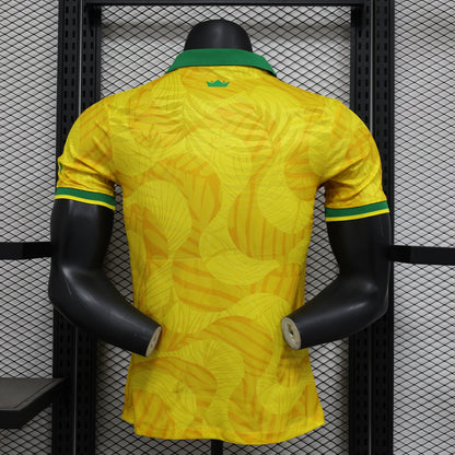 Maillot 24/25 Brésil Spécial player